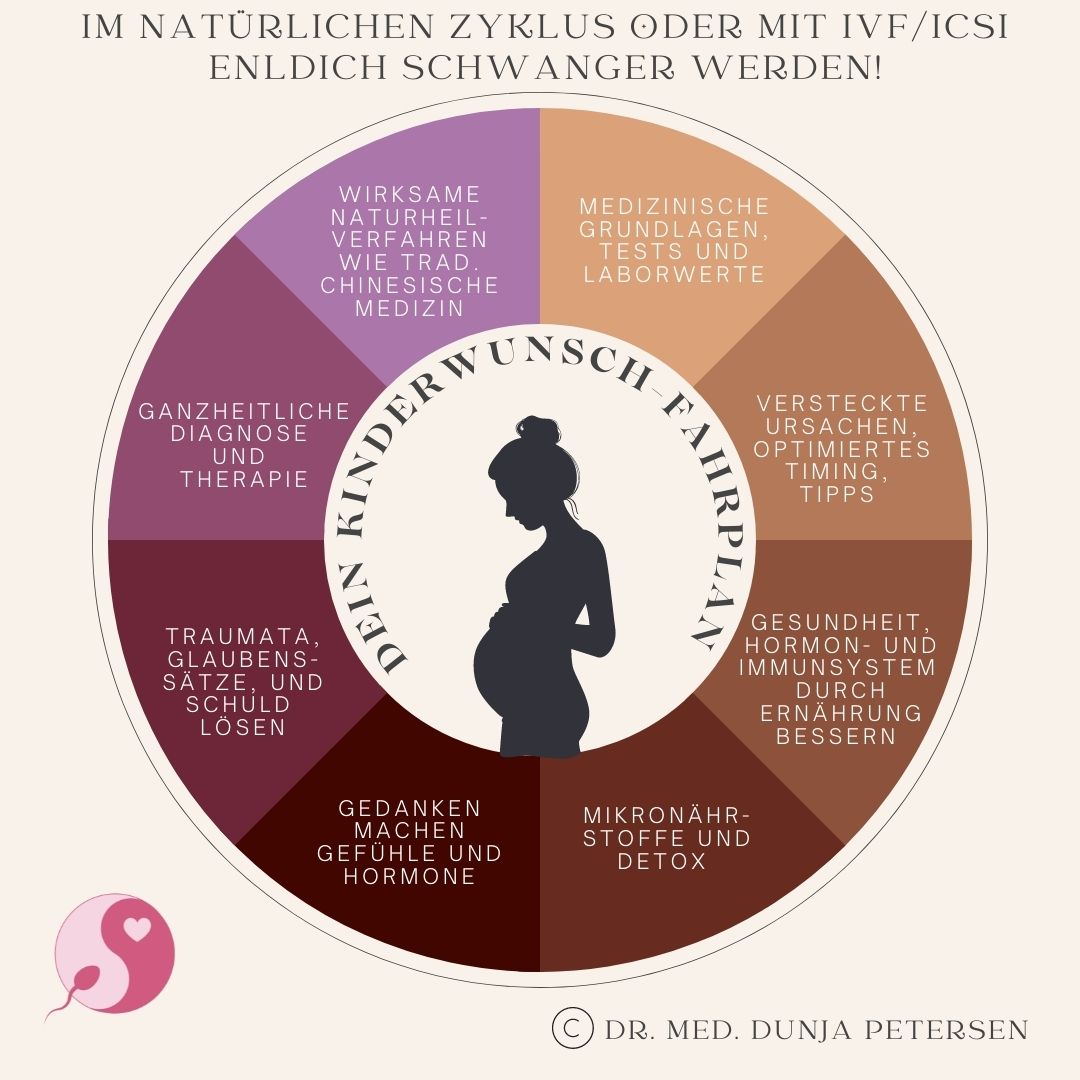 Kinderwunsch-Fahrplan - diese acht Bereiche musst du beachten - mit Dr. Dunja Petersen